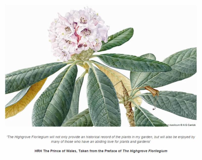 Highgrove  image
