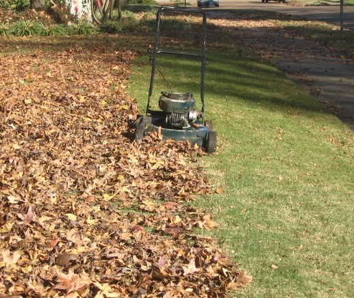 Help your lawn by mulch-mowing autumn leaves directly back into your lawn