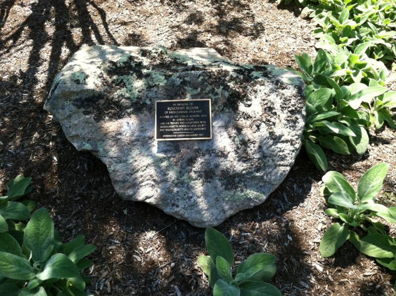 RosemaryBloomPlaque