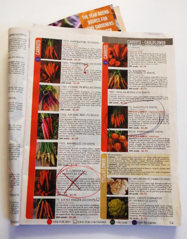 Every page of our catalogs was marked with an earnestness that That belied the price tag of the seed packets offered