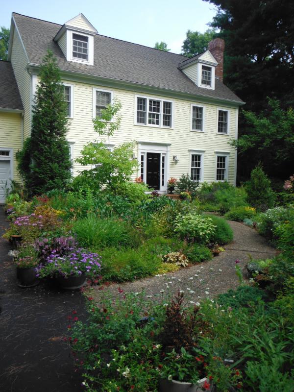 Wild Holly Lane