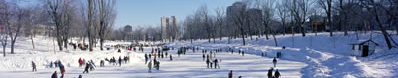 ice-skating-pond-sm.jpg