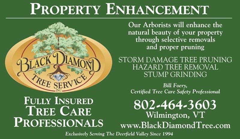 BDTS New Ad 2011