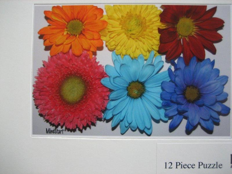 Activity - 12 Piece Puzzle