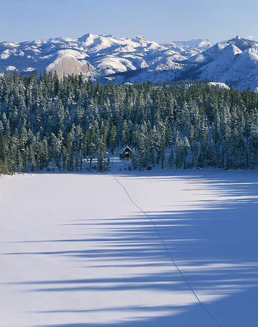 Snow Day_