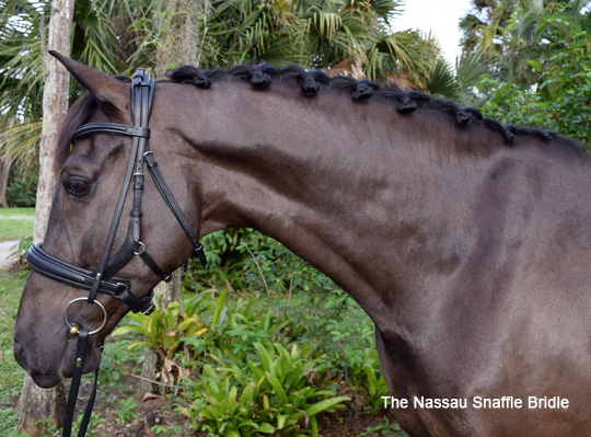Tota Comfort Bridles