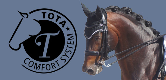 Tota Comfort System Header