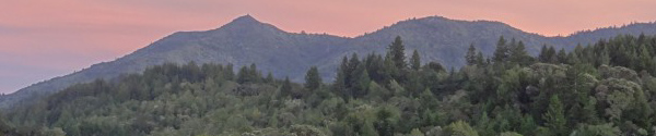Mt. Tamalpais Watershed