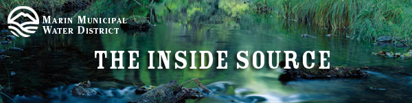 TIS bnr green water