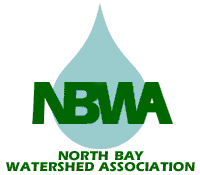NBWA logo