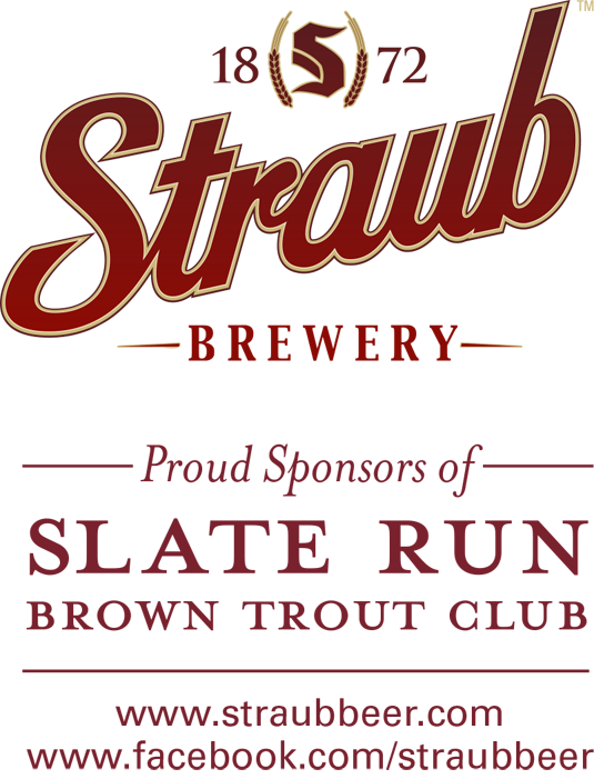 straub logo