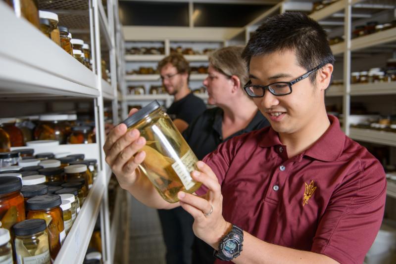The ASU Natural History Collections Have A New Home That Includes 