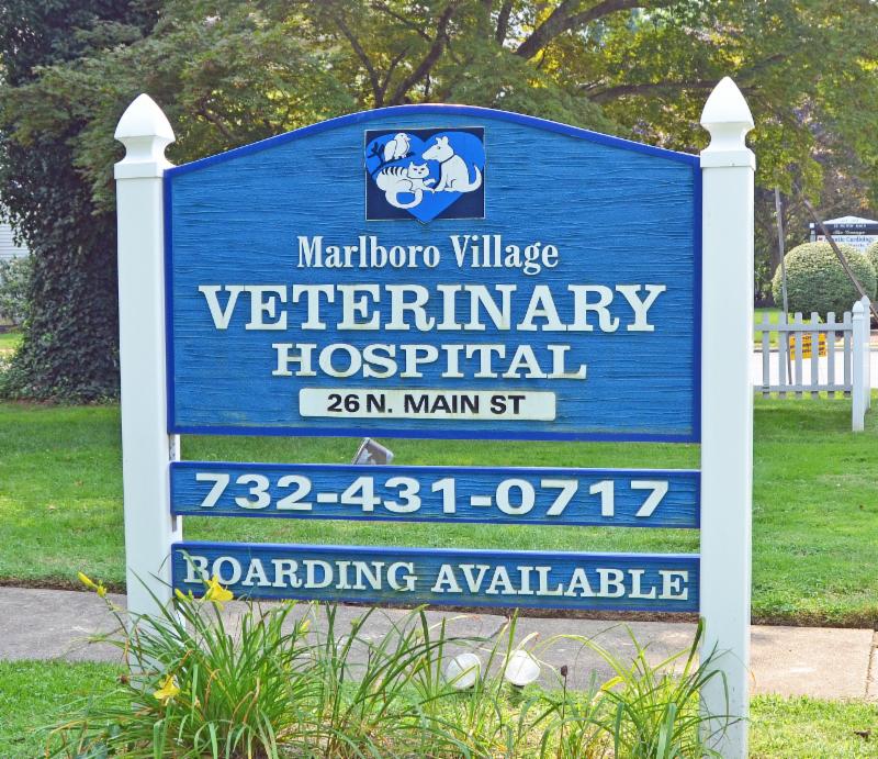 Marlboro Village Veterinary Hospital NewsLetters