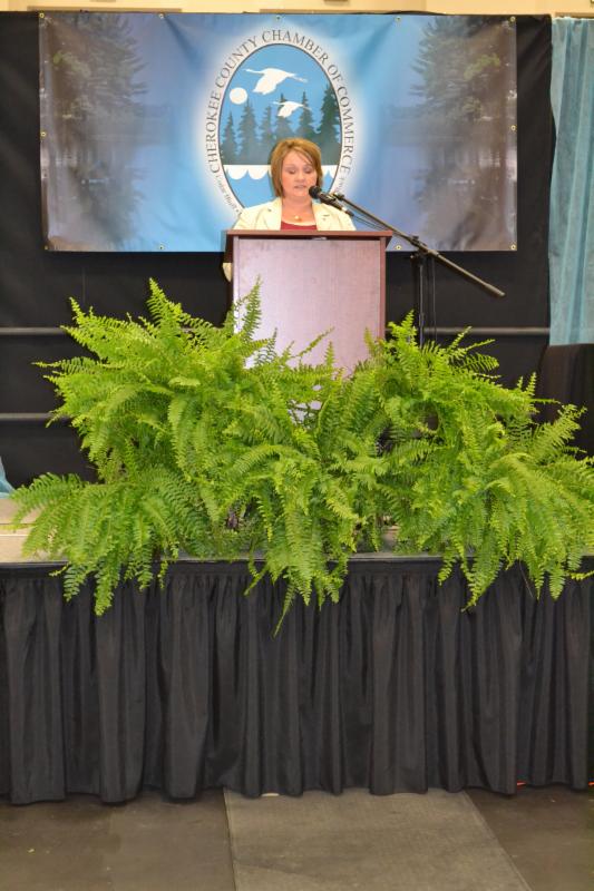 Mickie Kerr Chairperson 2014-15
