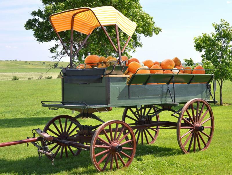 Market Wagon