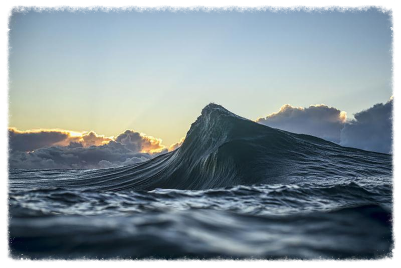 RAY COLLINS WAVE 4