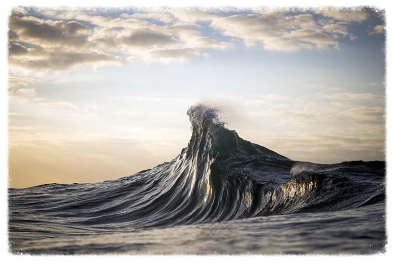 ray collins wave 5