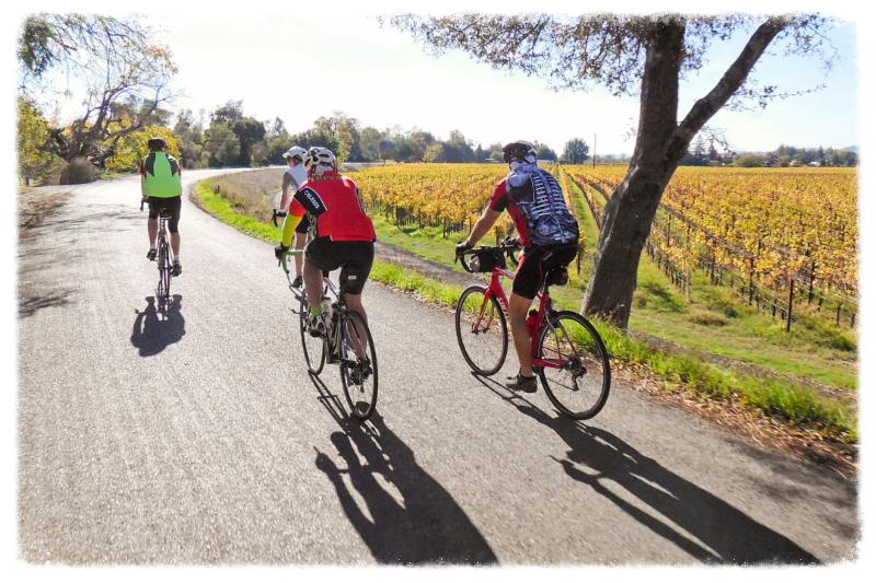 photo shot by Bob Smith