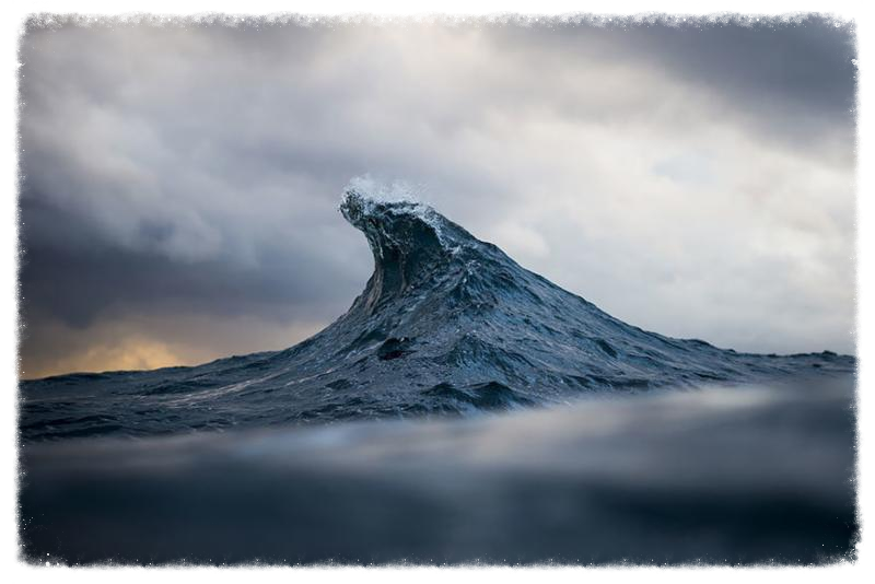RAY COLLINS WAVE 1