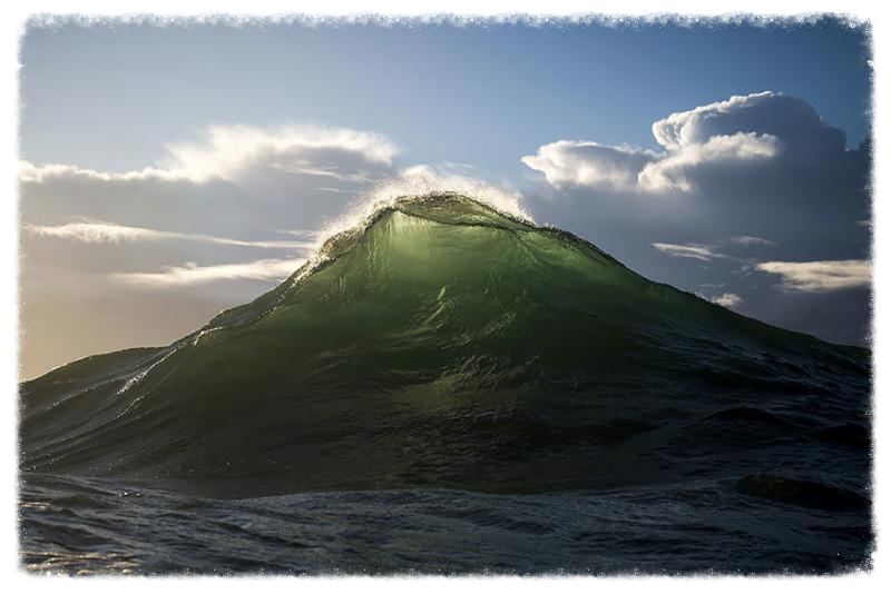 RAY COLLINS WAVE 2