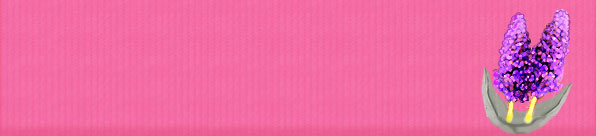 lavender-texture-header.jpg
