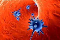influenza virus
