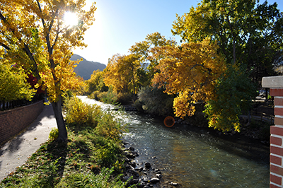 Autumn photo