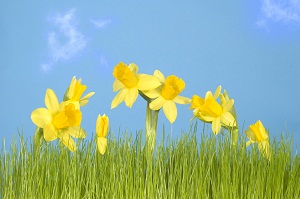 Happy Spring!