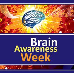 Brain Awareness Week