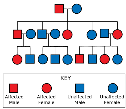 Inheritance