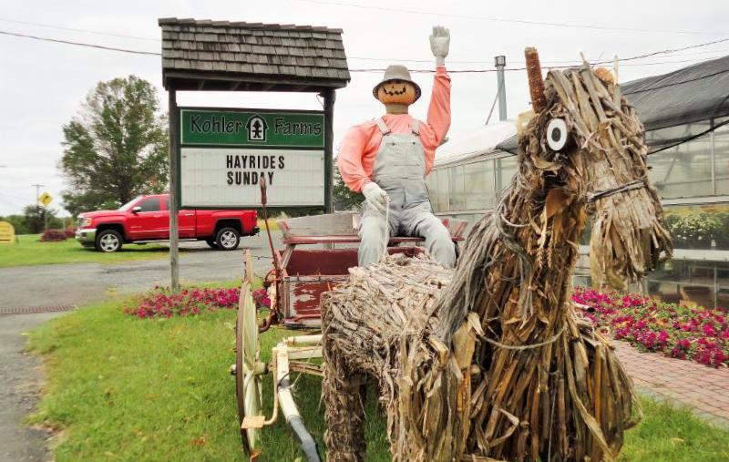 Fun On The Farm Photos