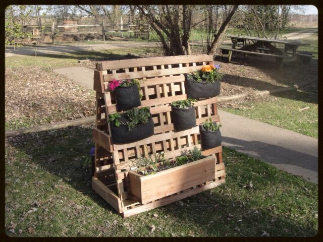 Herb an garden