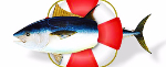 seafood12.jpg