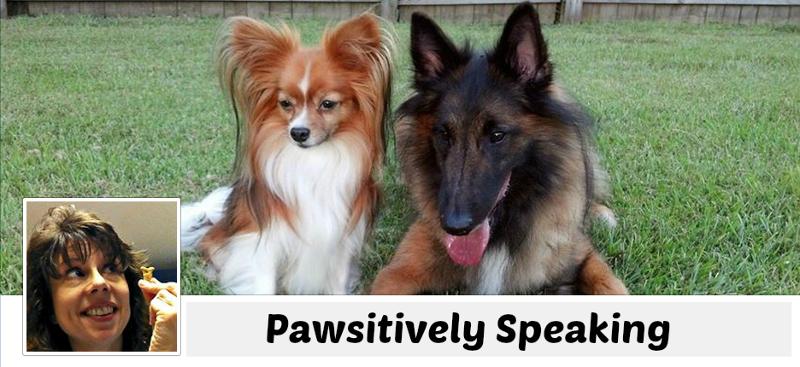 Pawsitively Speaking