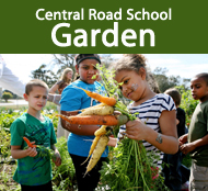 Central Road School Garden