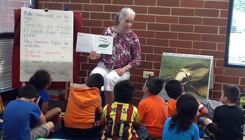 Summer Early Literacy Academy