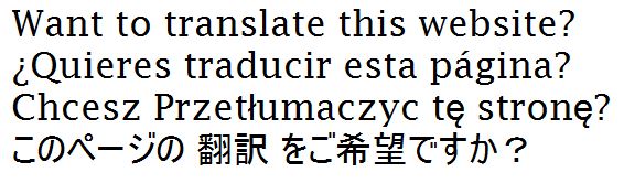 Translate this website