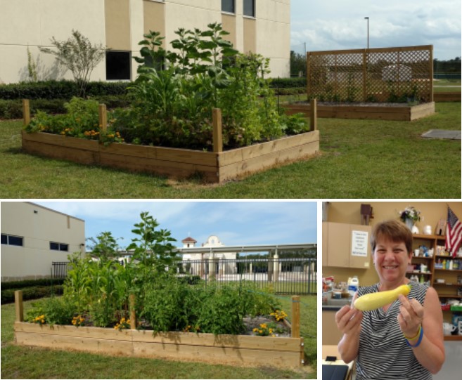 4H Garden 2016
