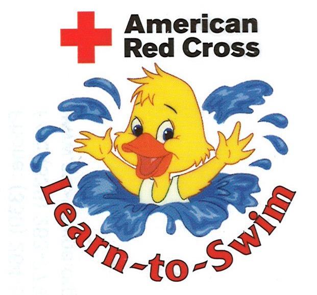 Red cross swimming lessons for adults