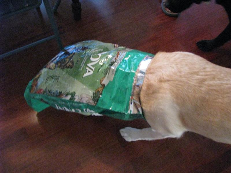 Food Bag