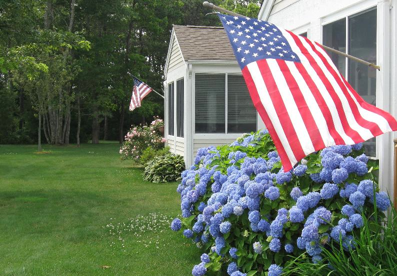 Hydrangea and Flag