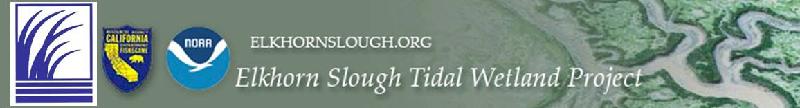 Tidal Wetland Project