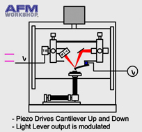 Vibration Animation Still Shot