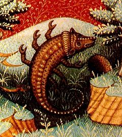 Scorpio