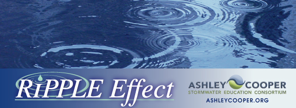 Updated Masthead with new logo