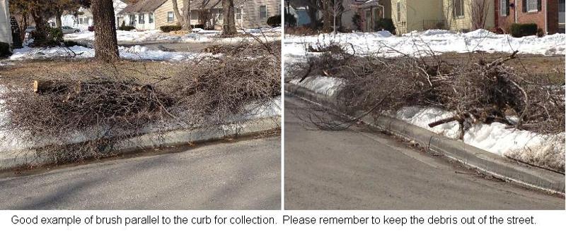 Brush at the curb for collection