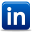 Adina Viezel on LinkedIn