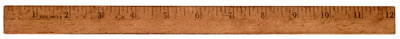 ruler.jpg
