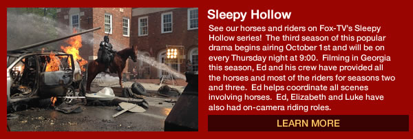 Sleepy  Hollow on Fox