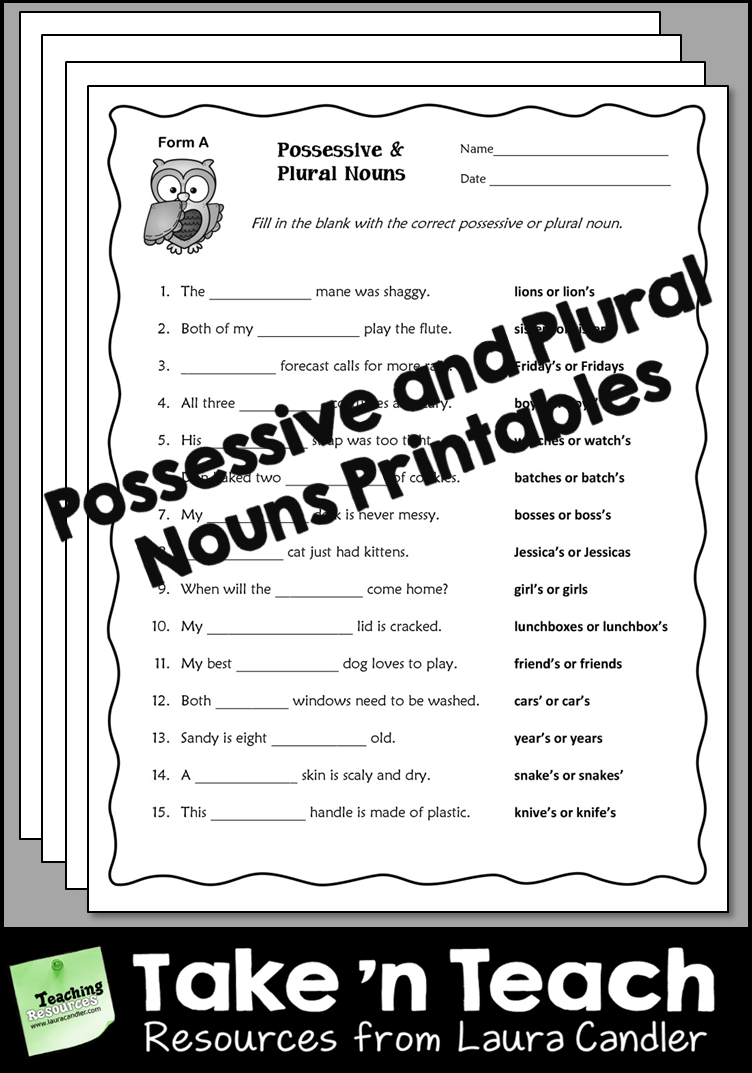 Possessive and Plural Nouns Printables